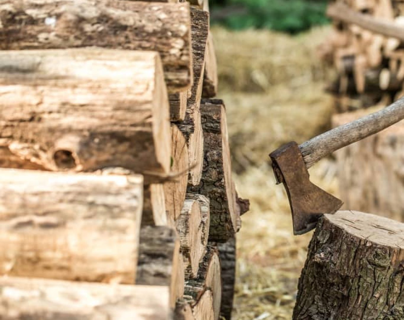 Self Serve Firewood Stand Near Me