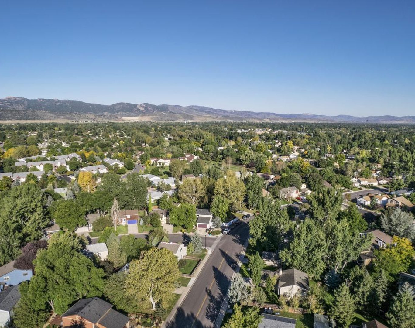 A commercial solar panel system providing clean energy to a business in Loveland, CO.